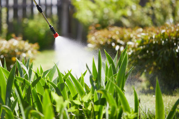 Tamper-Resistant Bait Stations for Rodents in Perryville
