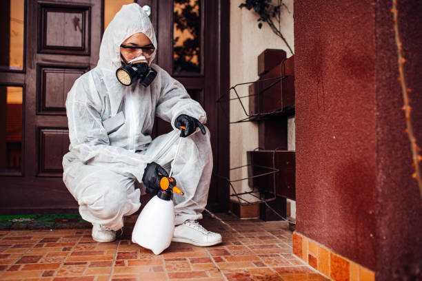 Attic and Crawl Space Rodent Treatment in Perryville