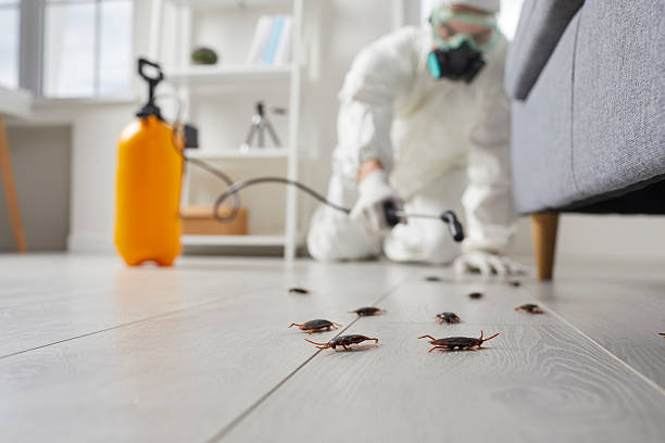 Commercial Rodent Management in Perryville